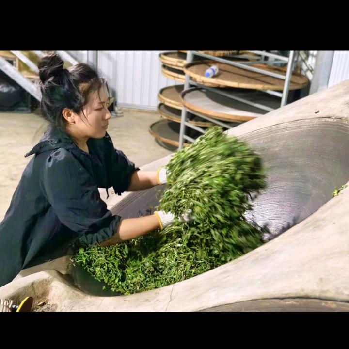 普洱茶山头茶