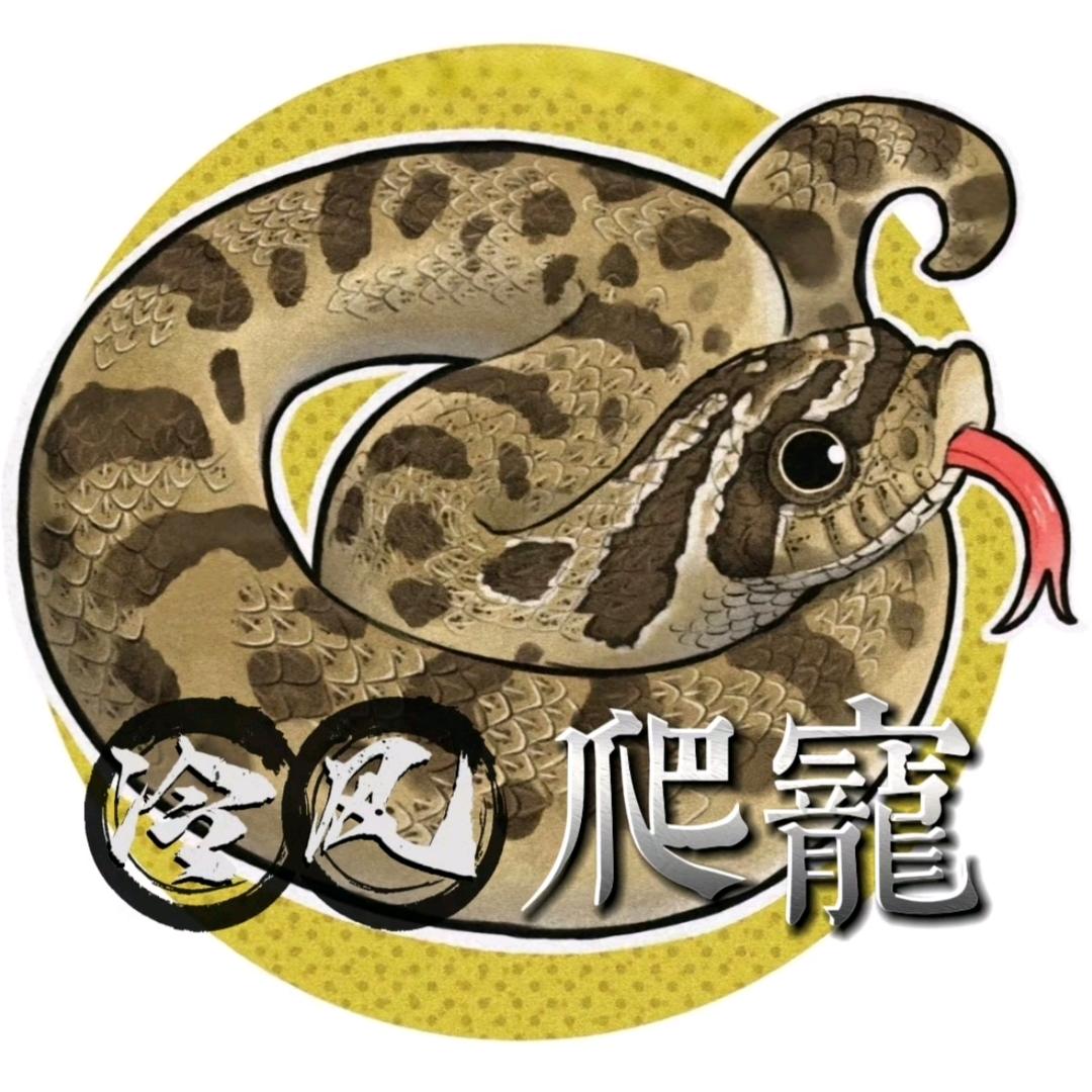 冷风爬宠（卖爬）