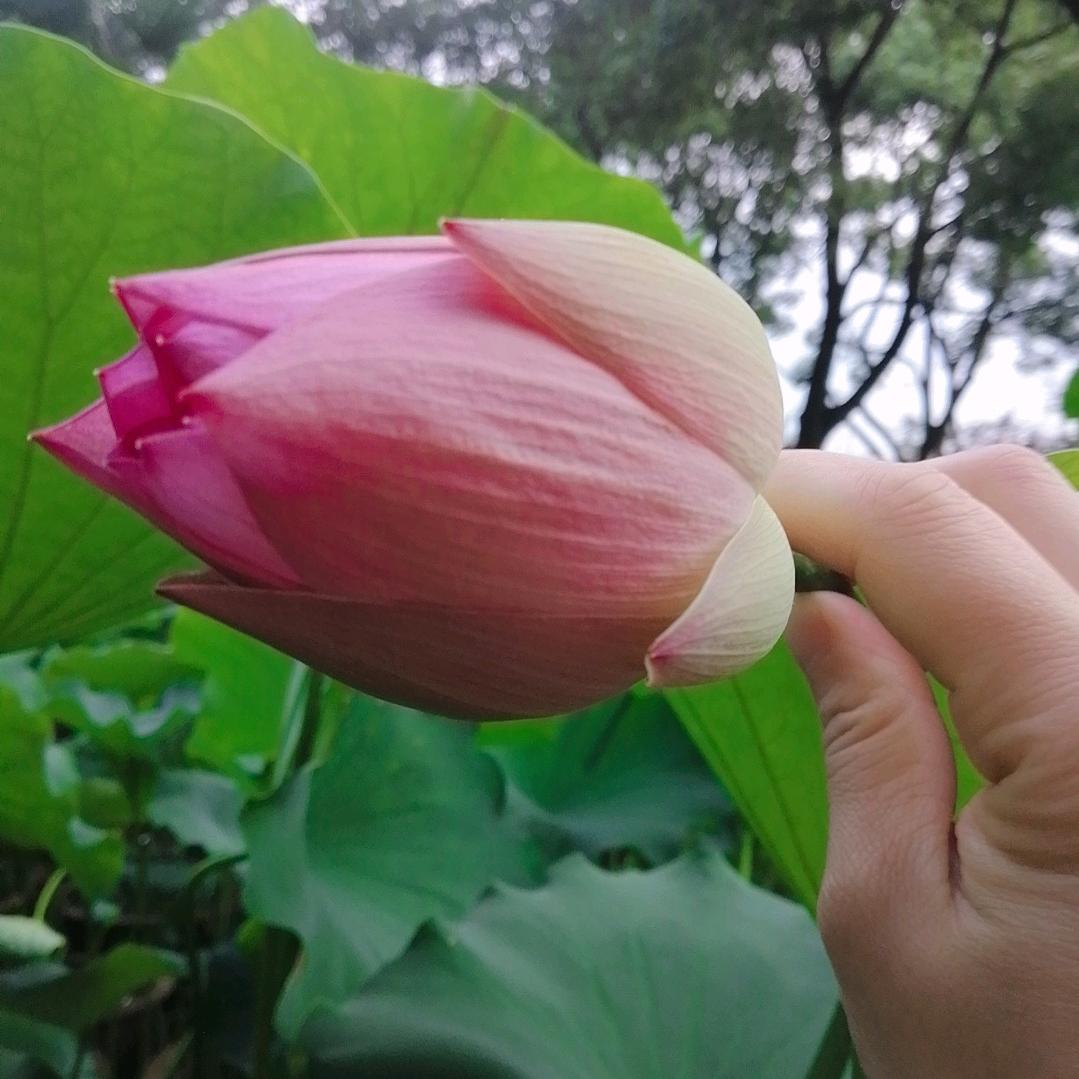 曾经