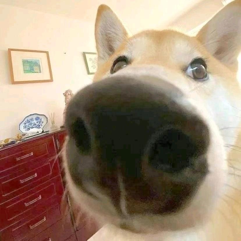 ʚ遇见ɞ