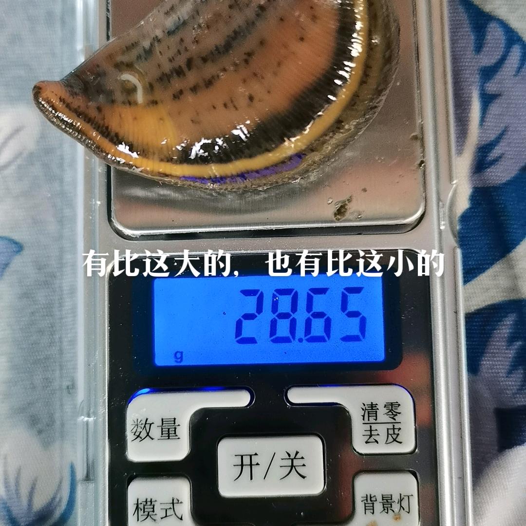 众蛭成城