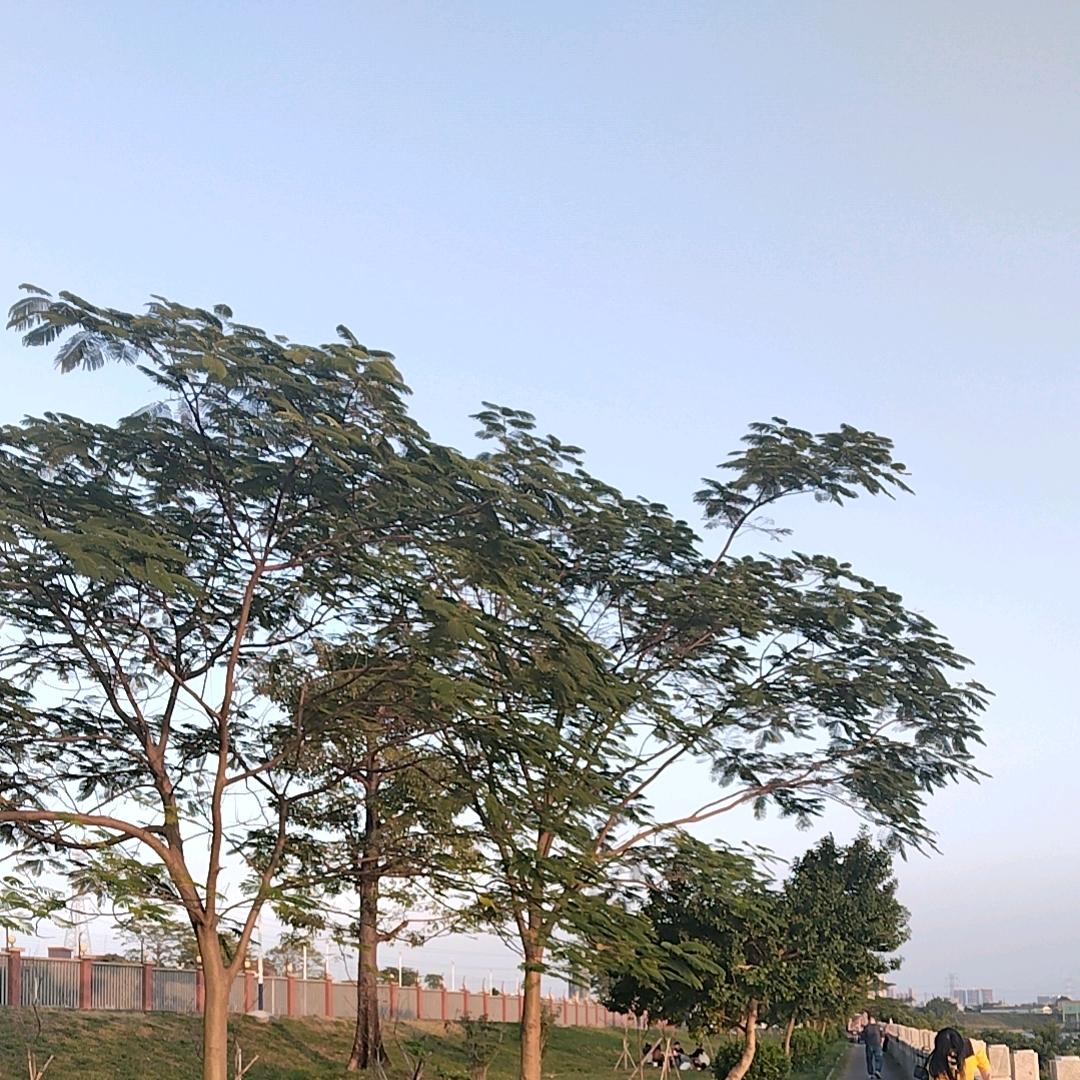 通讯录好友