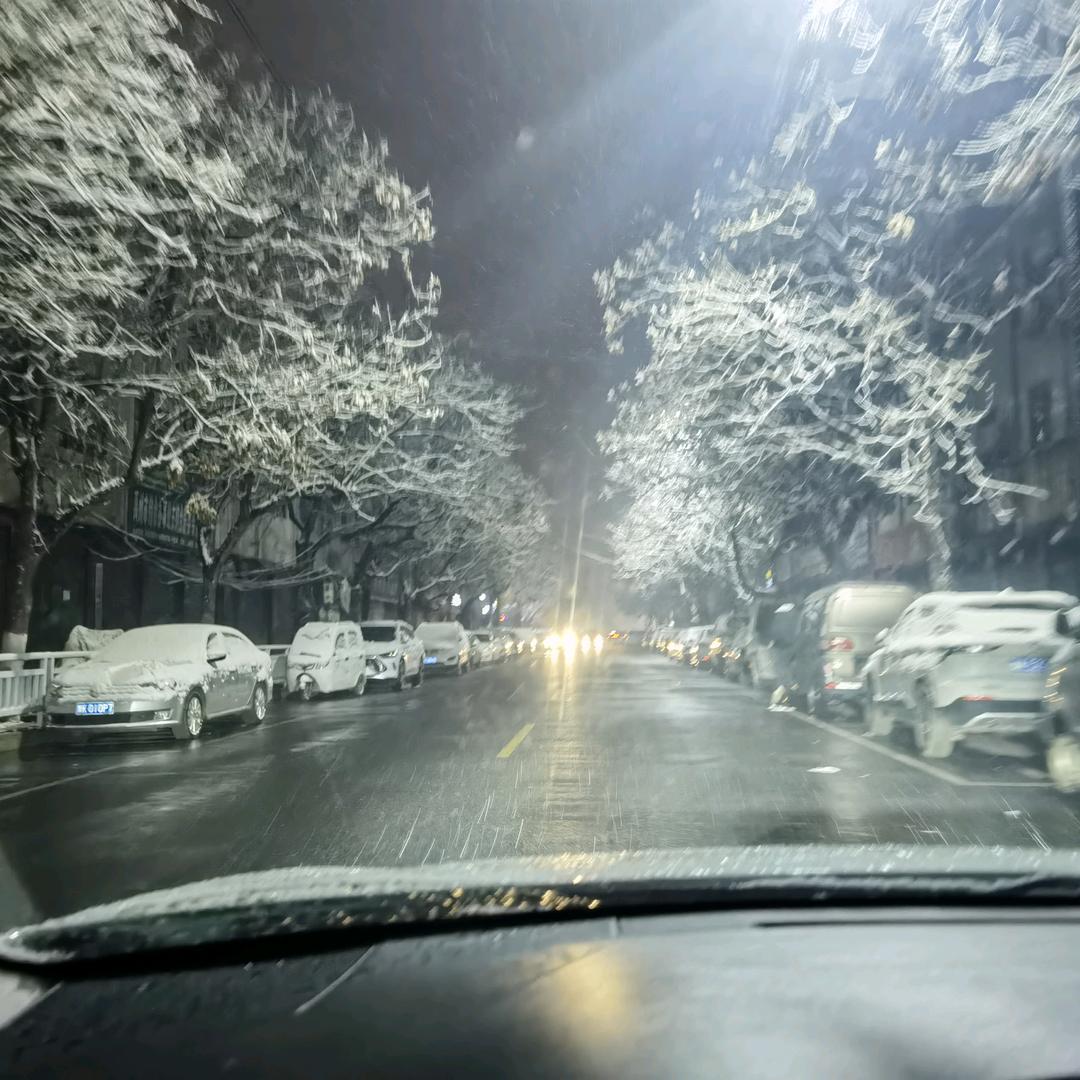 小Tian爱吃鱼