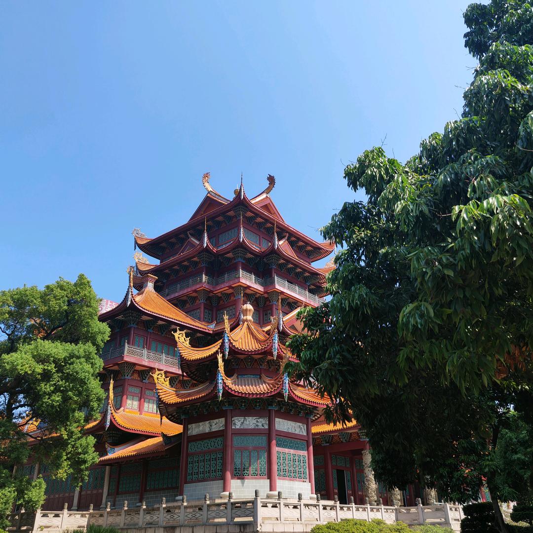 文欣