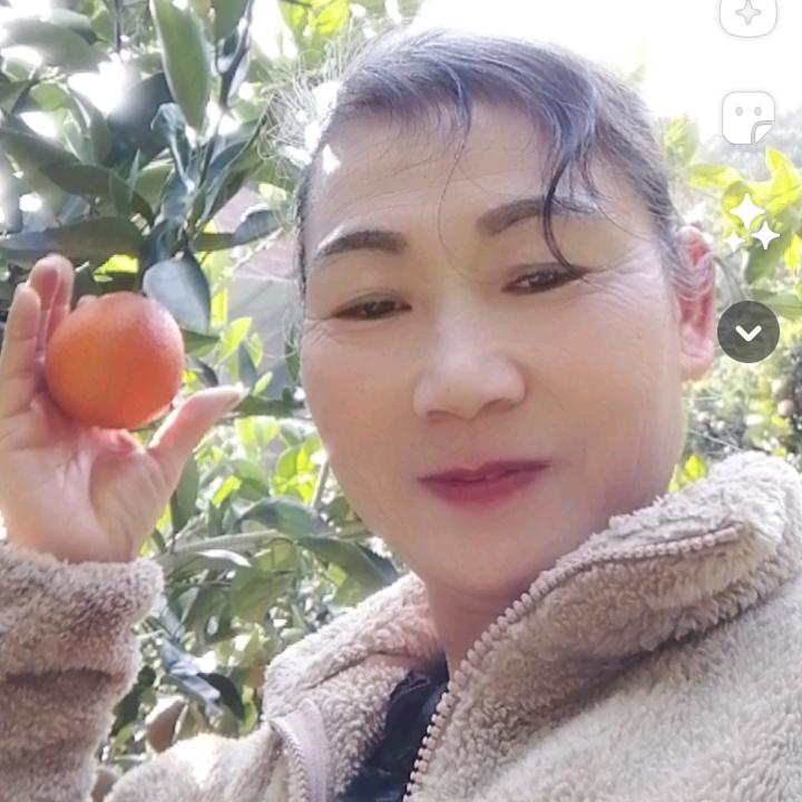 慧聚是缘《纽何尔橙子》