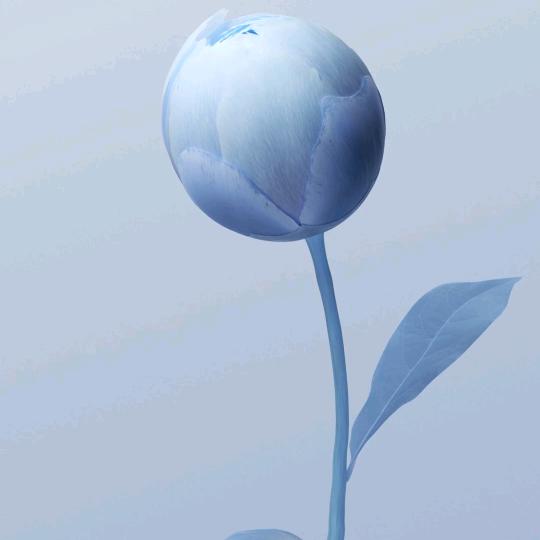 等的我-来找我