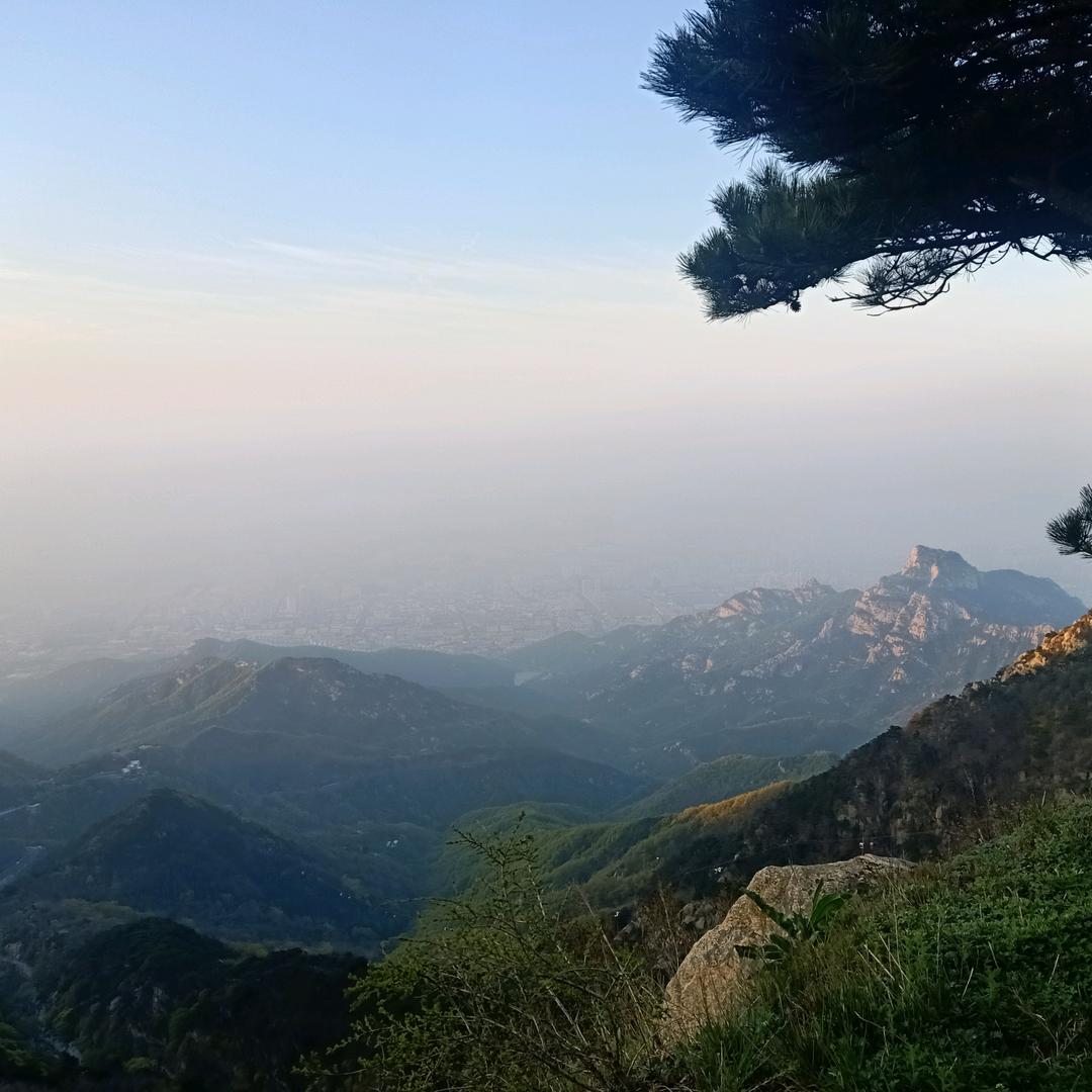 小小羊生鲜
