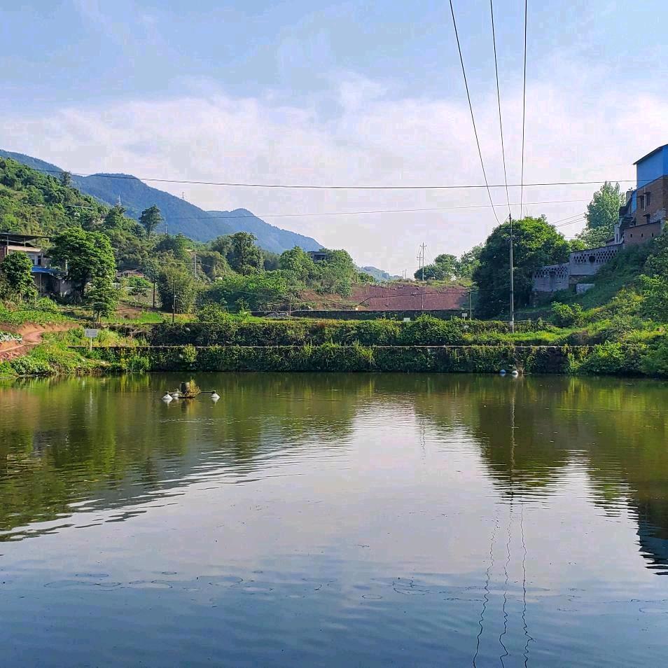 賣飛佛的小火柴