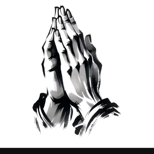 钓友连杆俺打龟