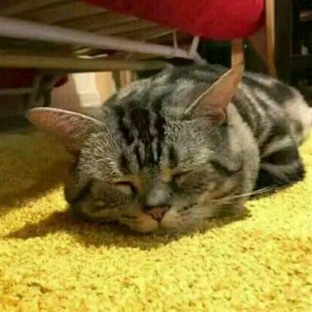 流年头像