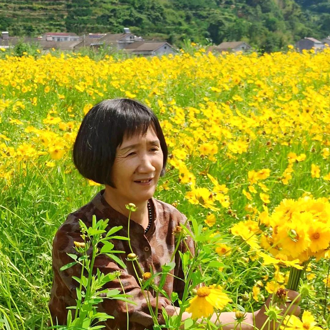 用户8142492135008