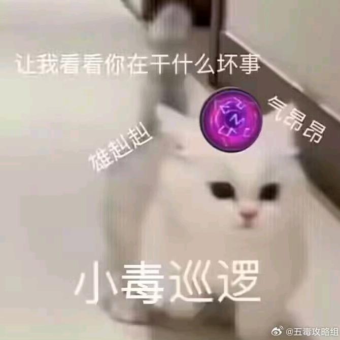 咪嗷