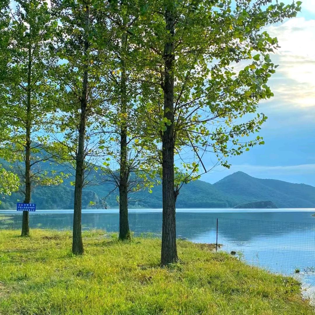 雍荷湾云端民宿露营地-丛军
