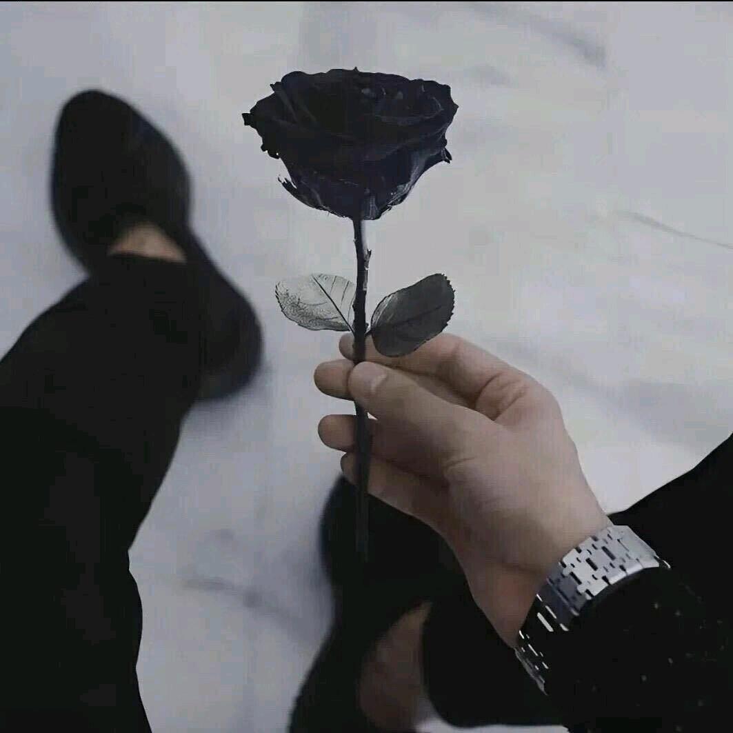 ☾⋆᭄北城恋人♡ۣۖิ__