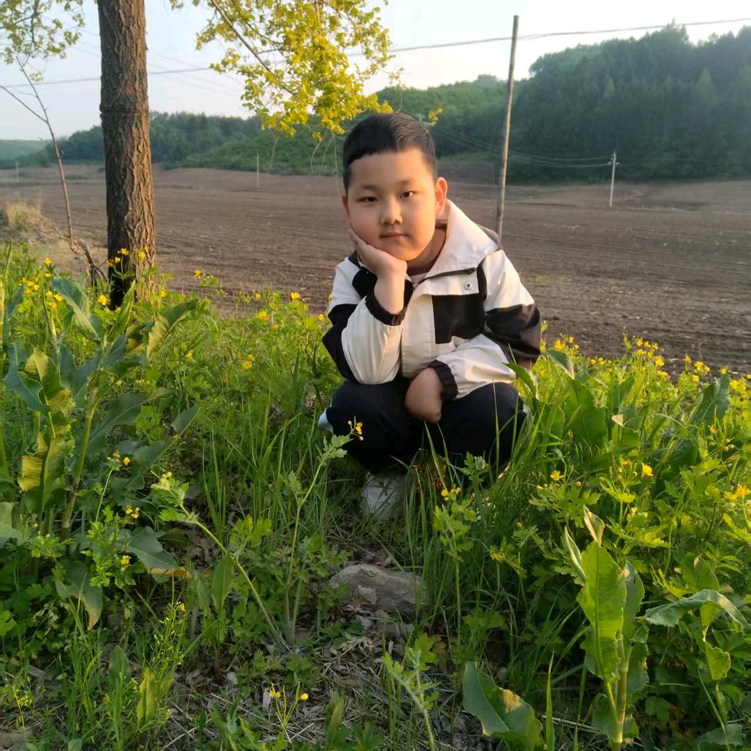 jinli锦鲤