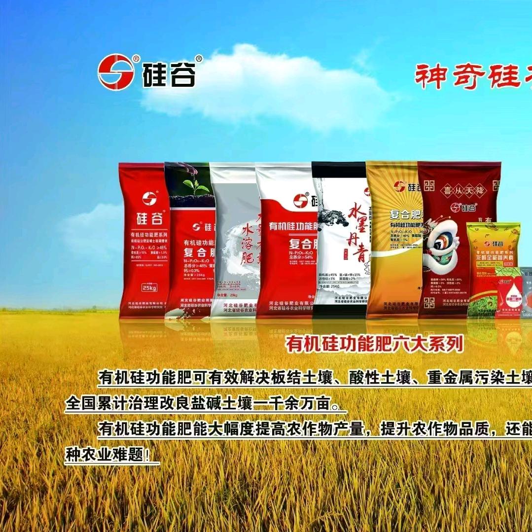 硅谷肥业