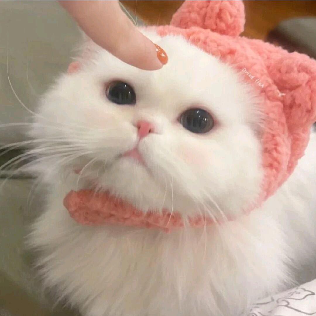 军
