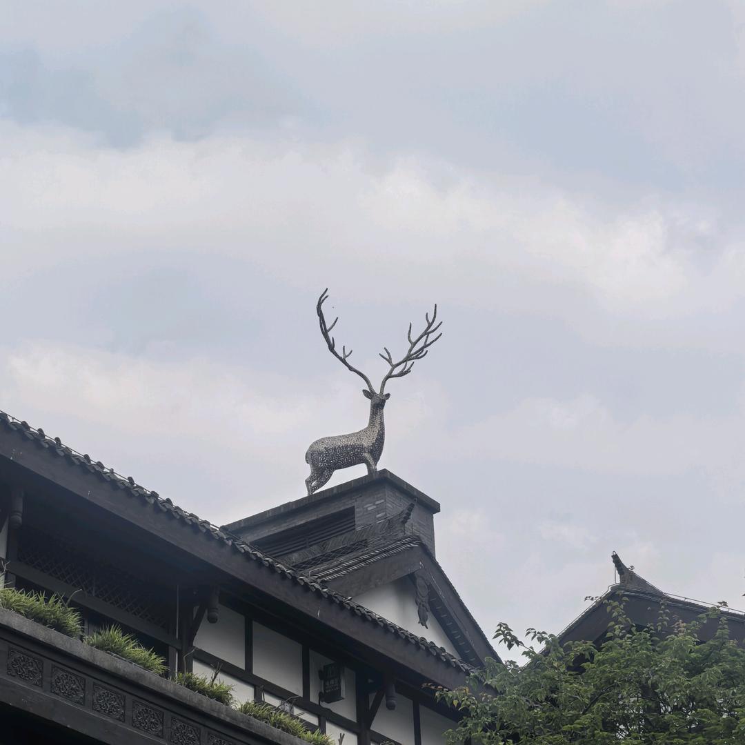 用户9053114550294
