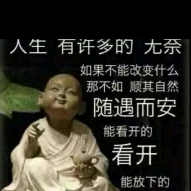 🏇岁月静好🏇