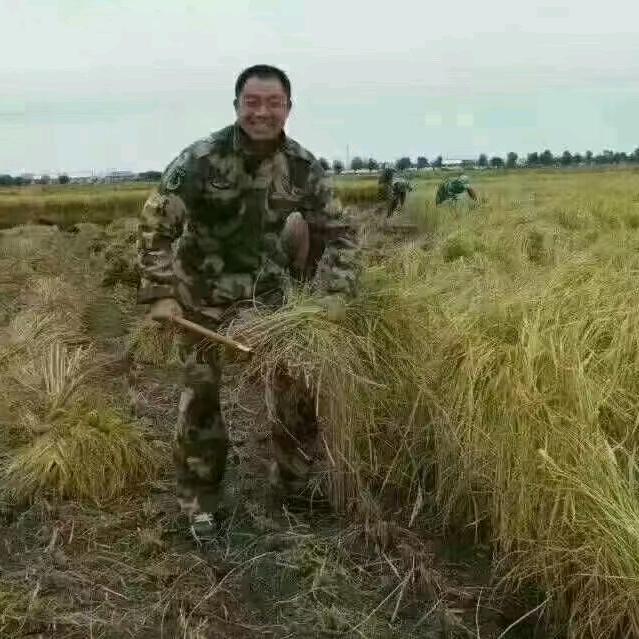 苹果哥水果