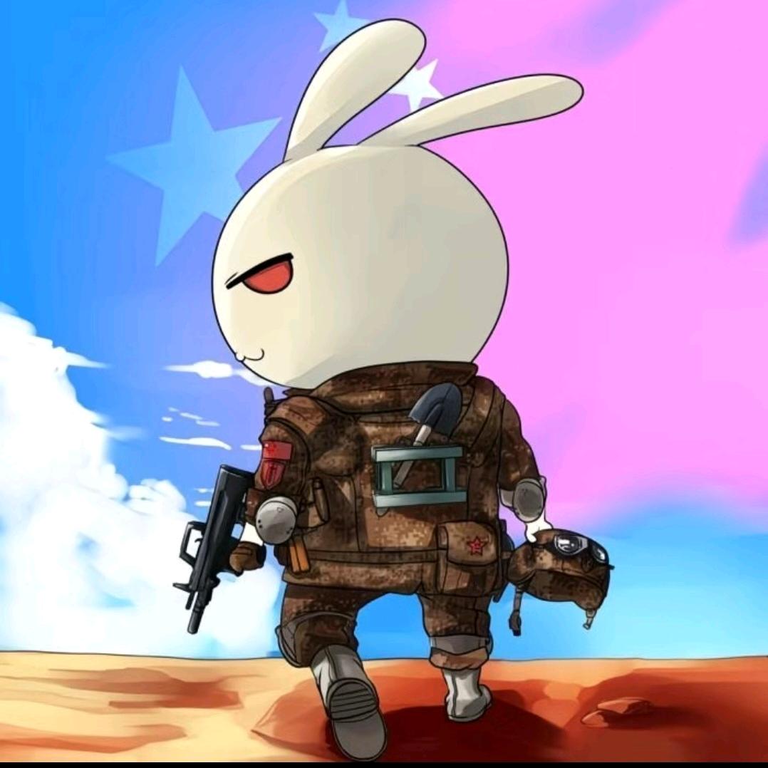 那年那兔那些事