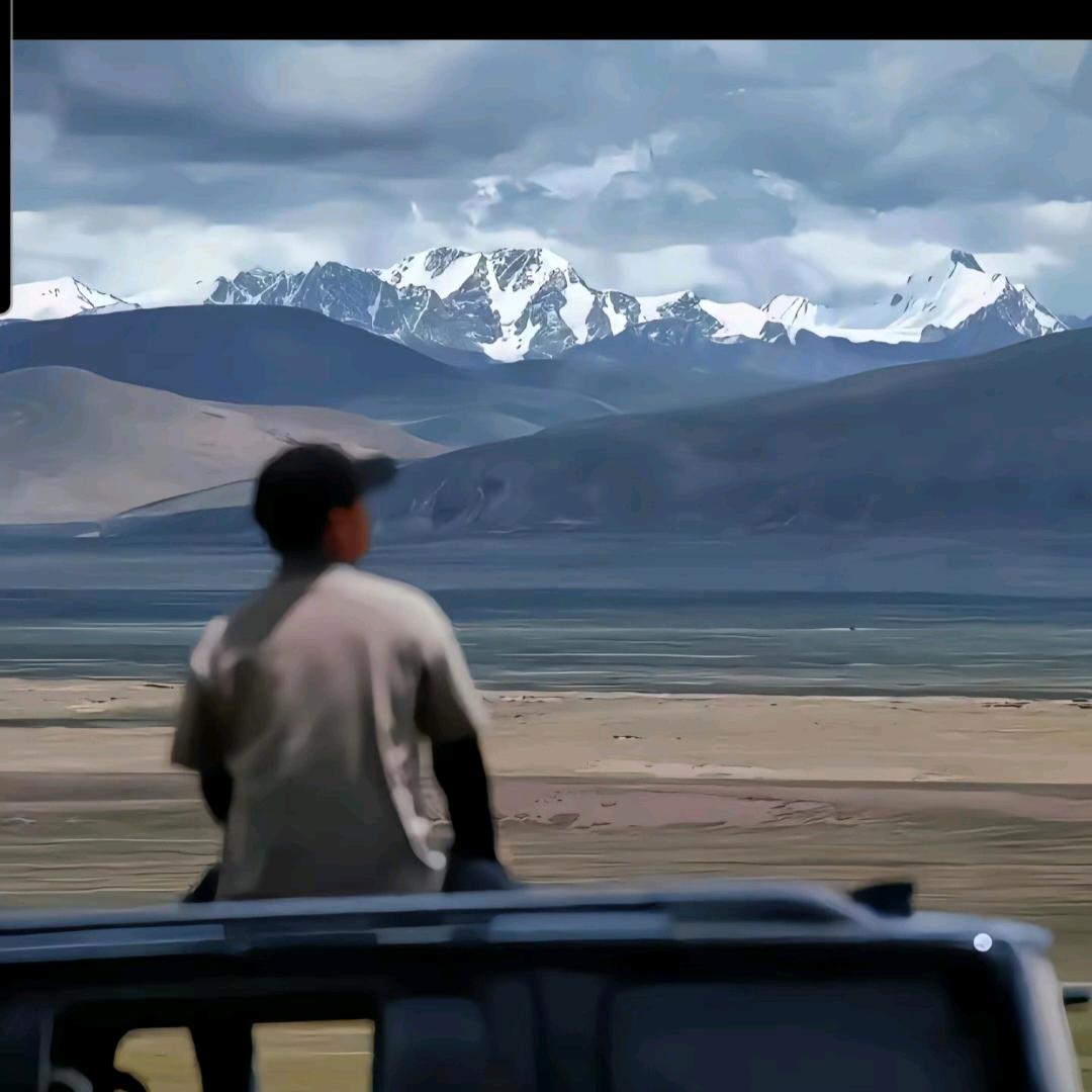 热心市民妥先生