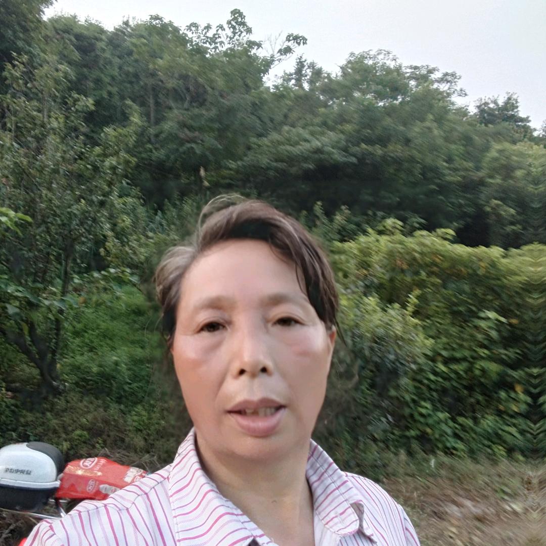 姜彩