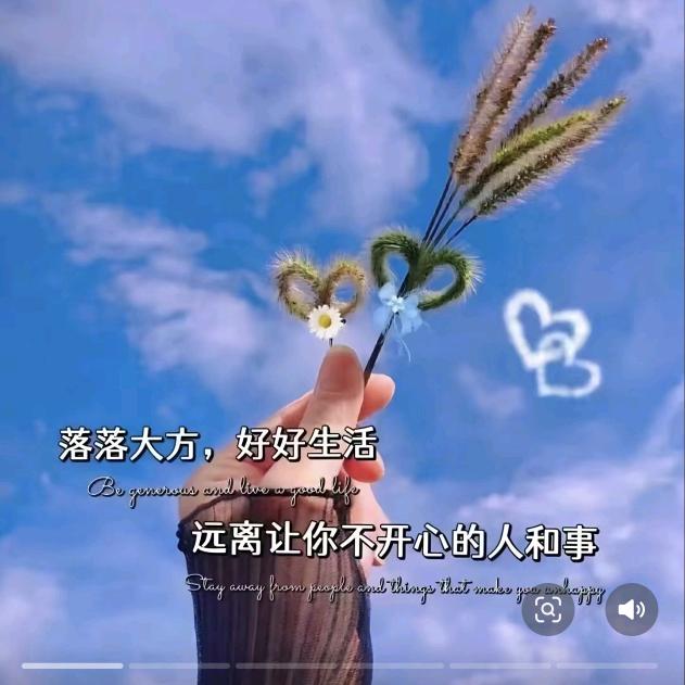 鸽 子
