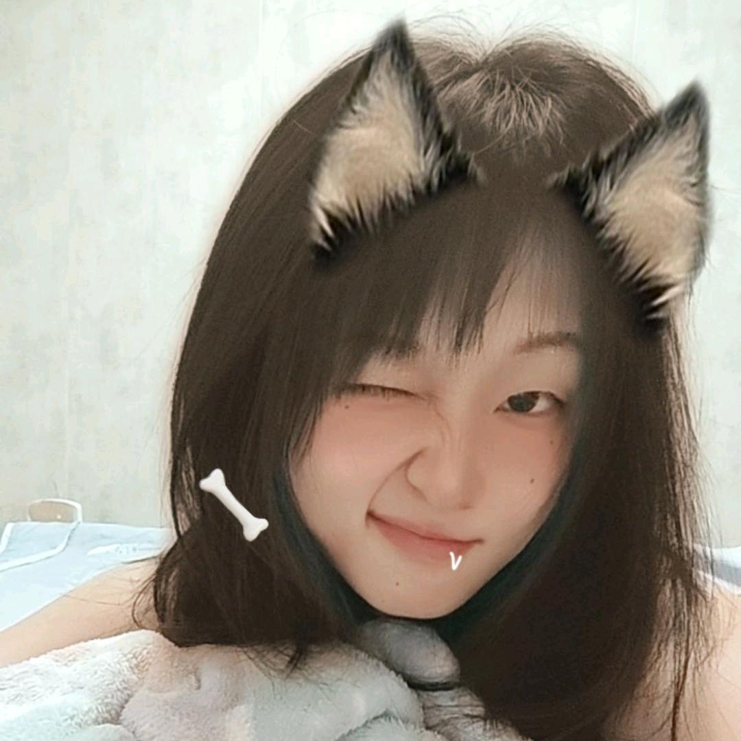 宫本企鹅penguin