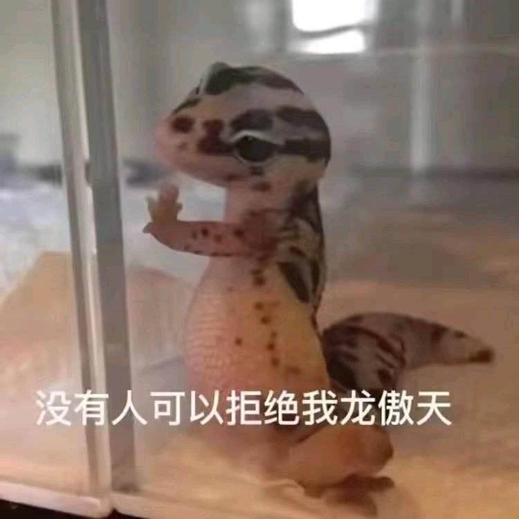 老六