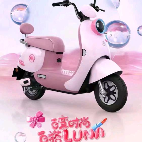 上海松江爱玛旗舰店