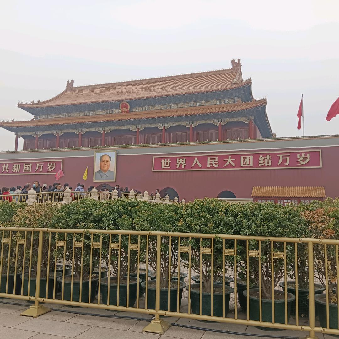 个明早