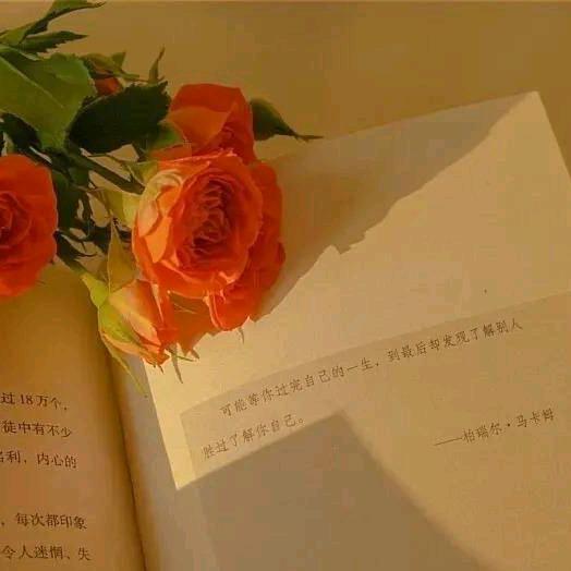 雨露飞扬
