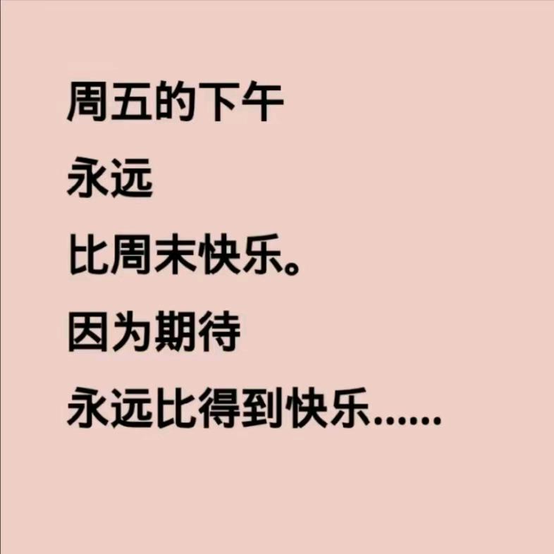 太阳花