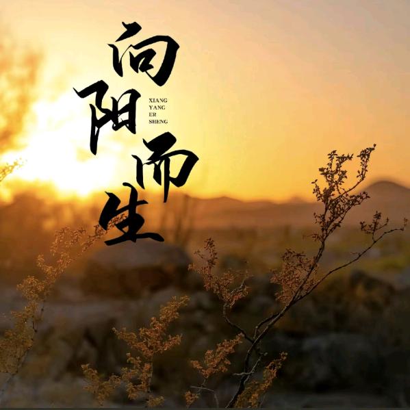 人生💞💞💞💞相遇