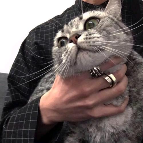 (づ ●─● )づ墨～痕～