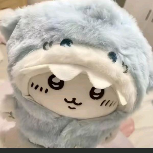 树洞