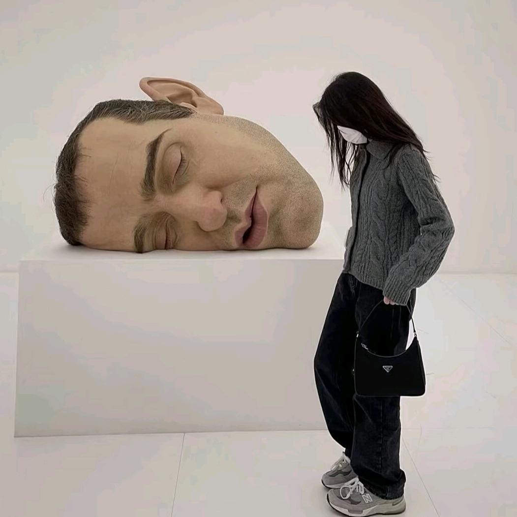 不要打打鲨鲨