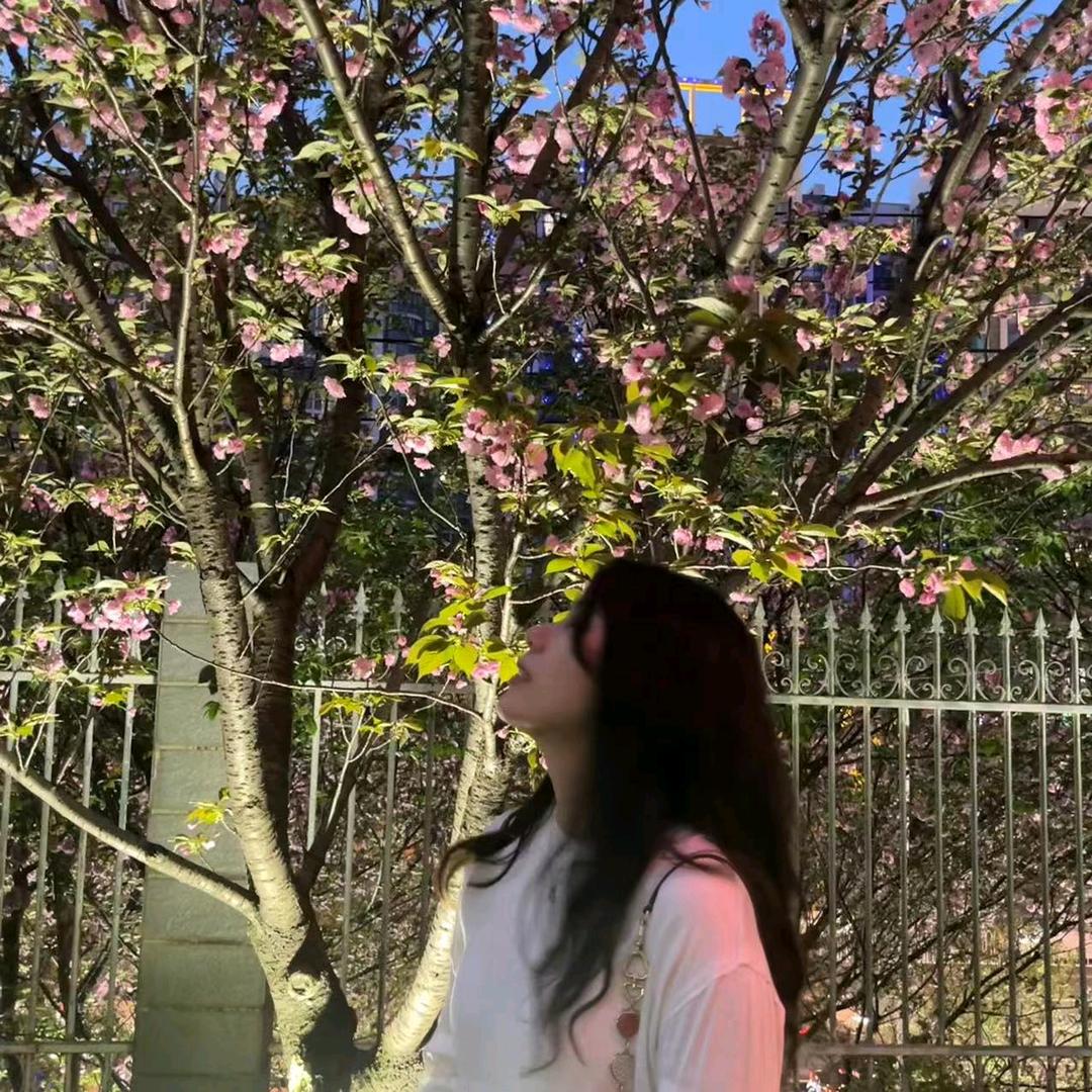 不吃喵的胖头鱼