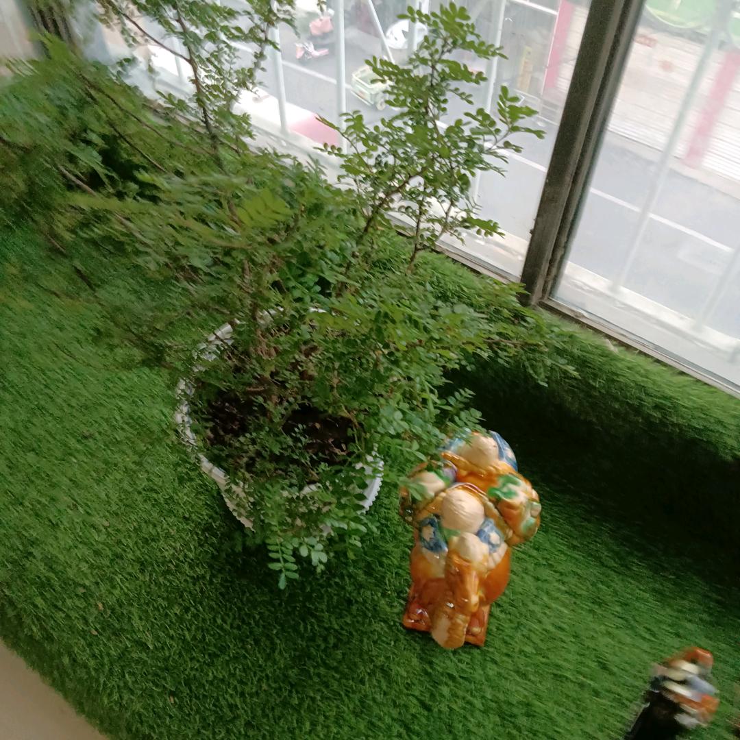 晴天