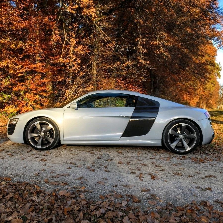 海洋聊车