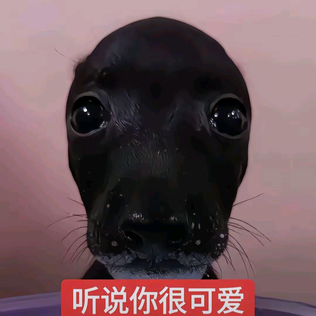 青枫(❍ᴥ❍ʋ)