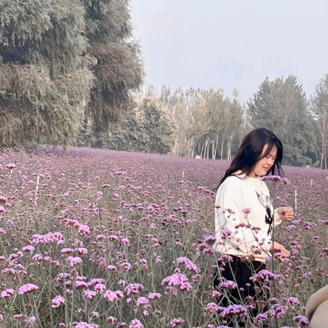 紫罗兰i 💜