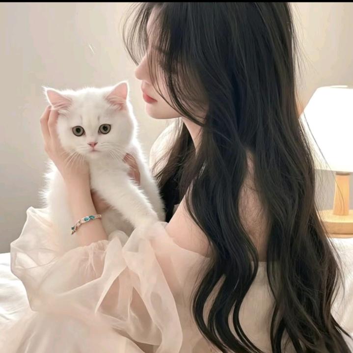 .coco
