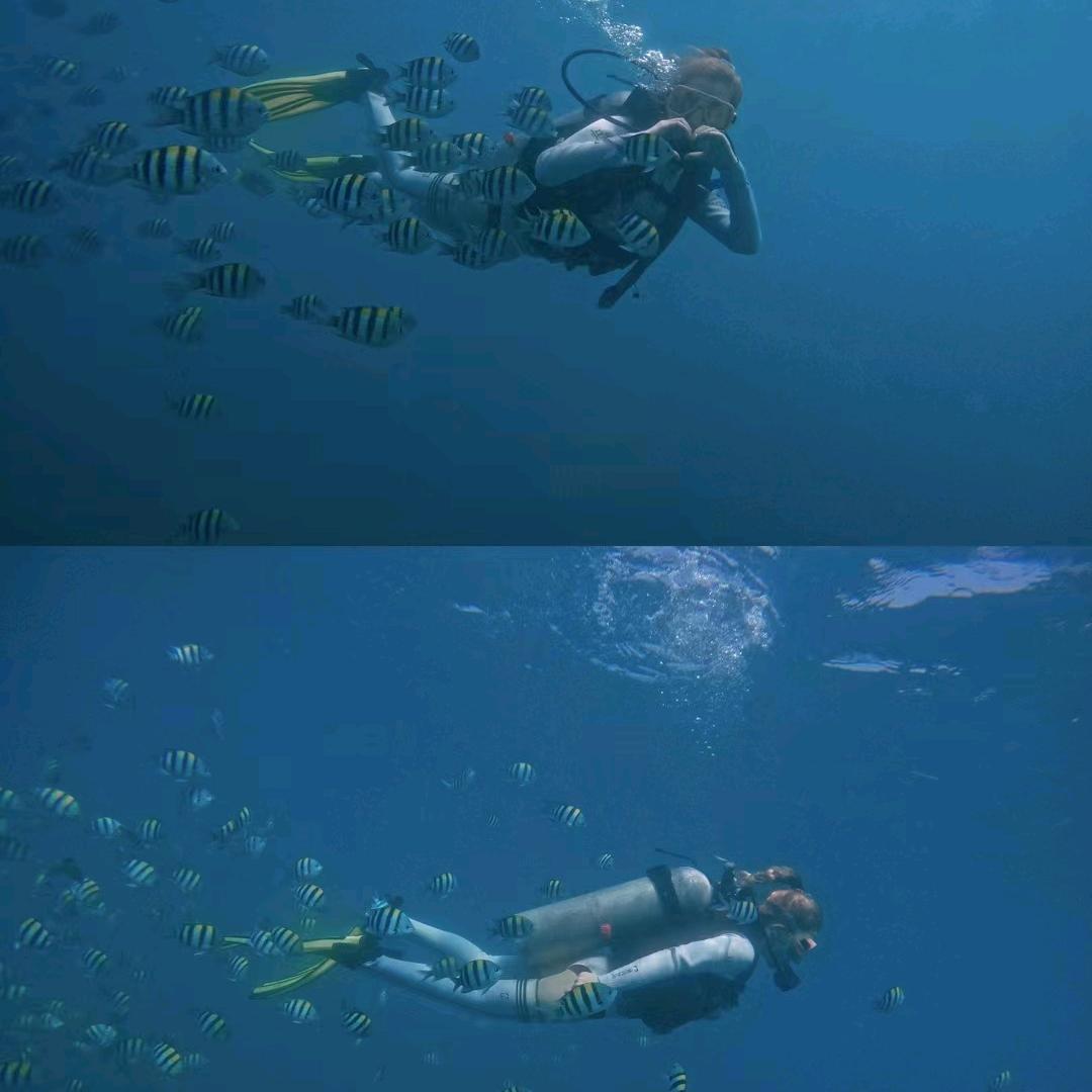 喜欢阳光