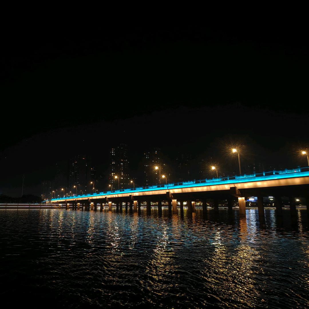 一只小鱼游啊游