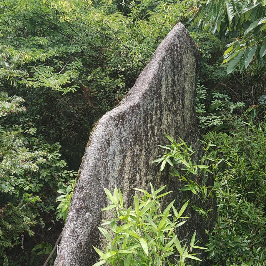 山野云雾