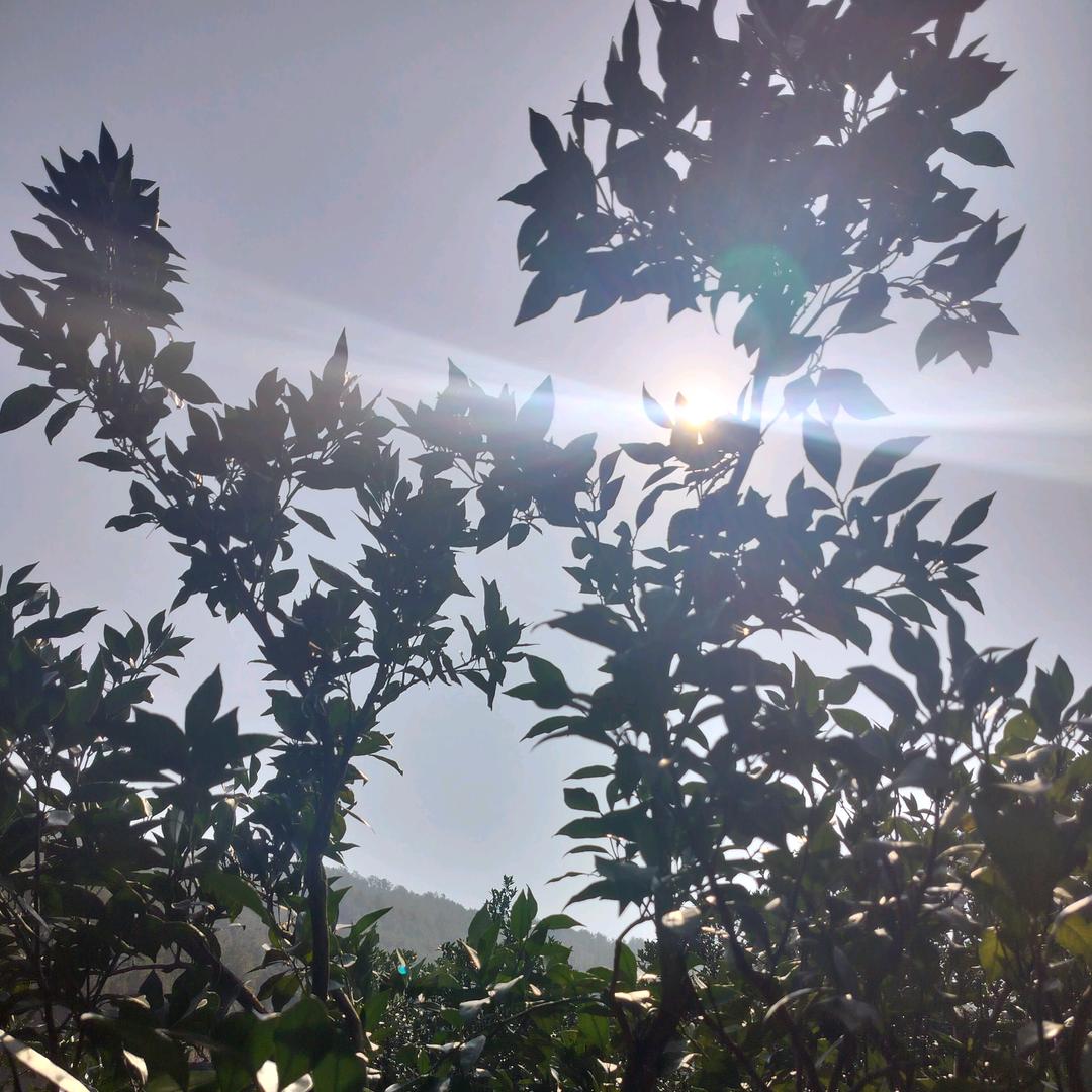 嘿，别浪