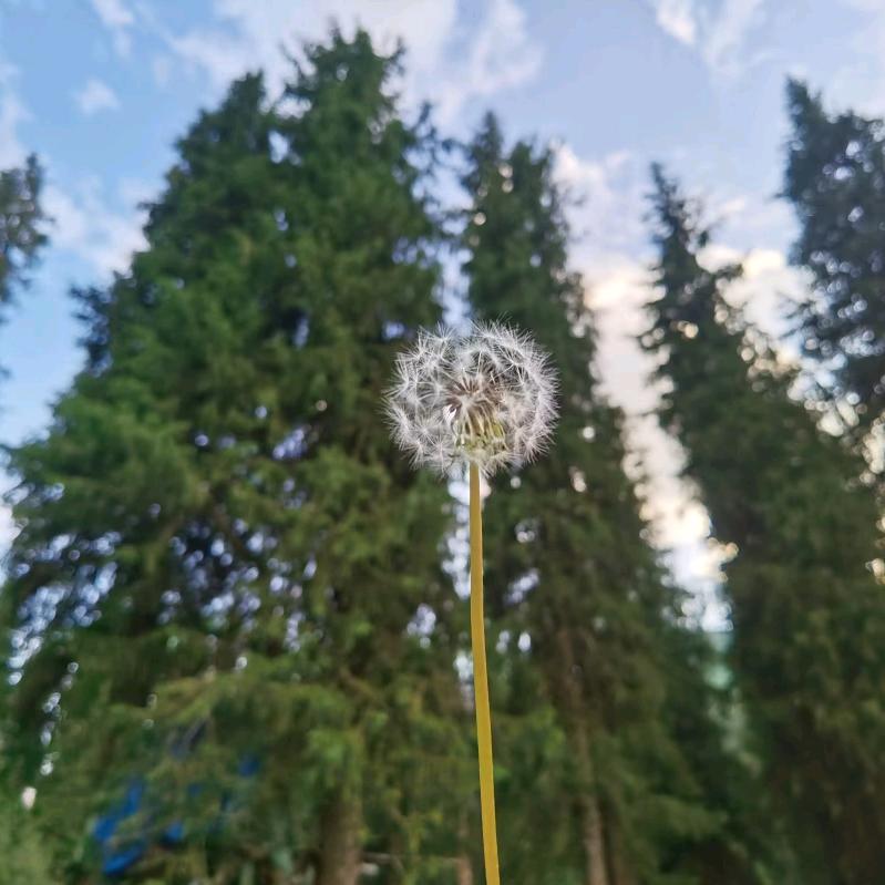 水陆方舟微景观