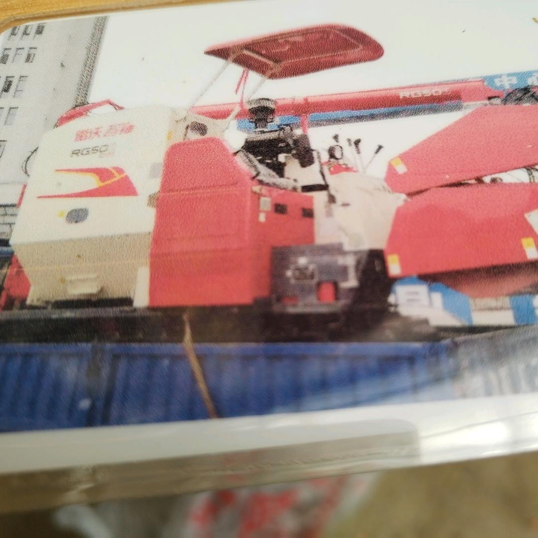 六月的雪